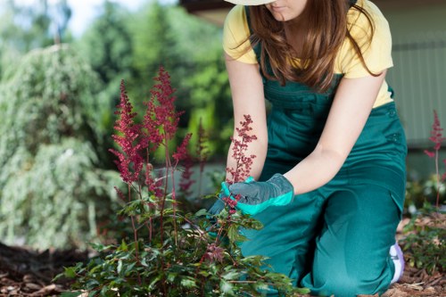A gardener wearing a yellow top and green gardening apron is kneeling on the soil in a well-maintained garden, actively trimming a flowering shrub with pinkish-red blooms using blue gardening gloves. The background features a lush green hedge, various plants, and trees that create a natural boundary for the outdoor space, which appears to be part of a residential garden. The garden surface includes a combination of soil, mulch around the plants, and a section of paved or wooden decking visible in the background. Bright natural daylight illuminates the scene, indicating a clear day, and the overall environment is neat and landscaped, highlighting professional gardening practices typical of services offered by Hedge Trimming Bayswater in the Bayswater area. This scene underscores routine hedge trimming and garden maintenance activities aimed at enhancing outdoor aesthetics and health, reinforcing relevant gardening and landscaping services in west London.