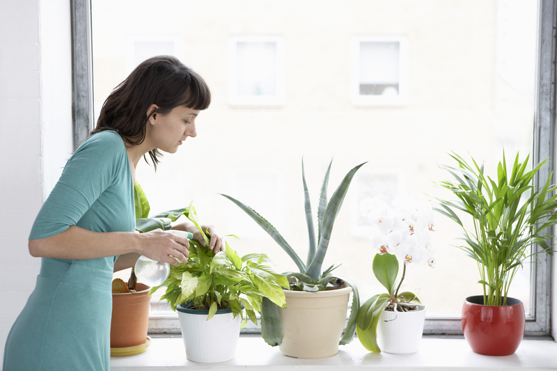 garden design garden care